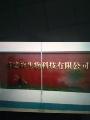 企业logo